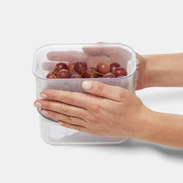 Fresh 'n Store Small Produce Storage Container - Image 5