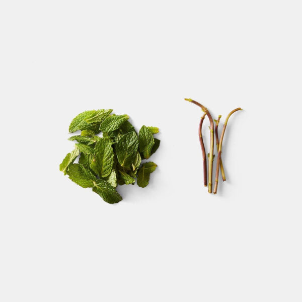 Looseleaf Plus Kale and Greens Stripper - Image 9